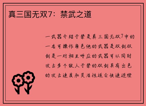 真三国无双7：禁武之道